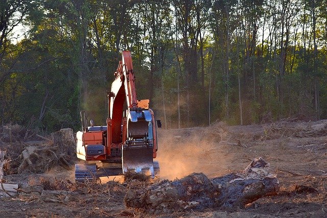 Methods of Tree Removing